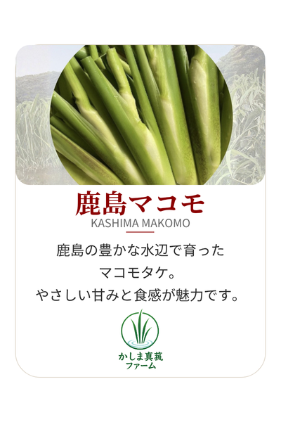 【家庭用】鹿島マコモ餃子